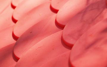 Barnes Hall plastic roof costs